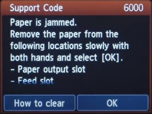 What is Canon Printer Error Code 6000